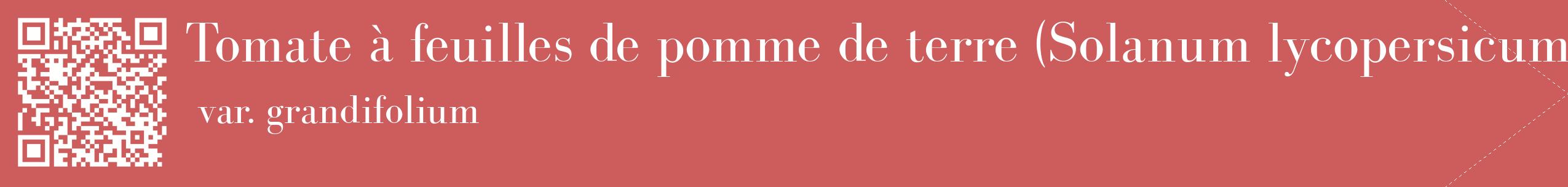 étiquette 2