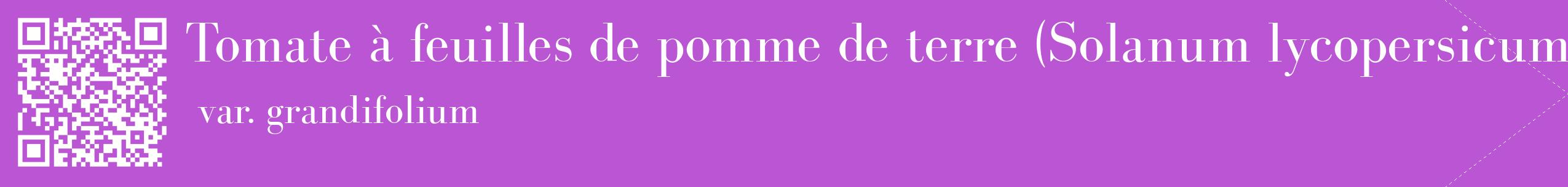 étiquette 2