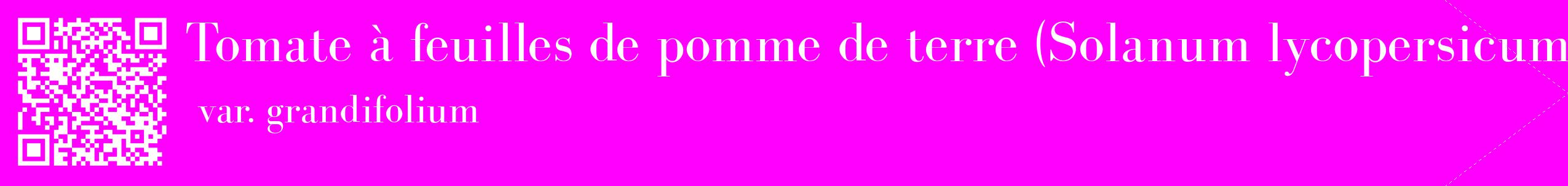 étiquette 2