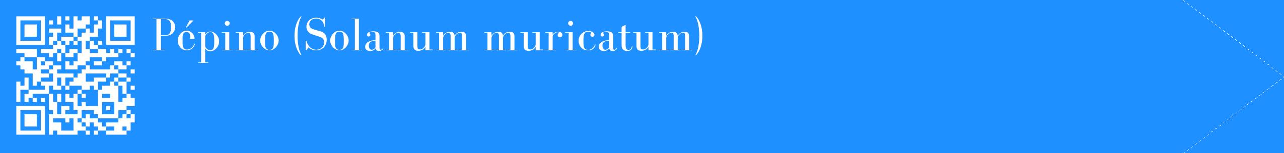 étiquette 2
