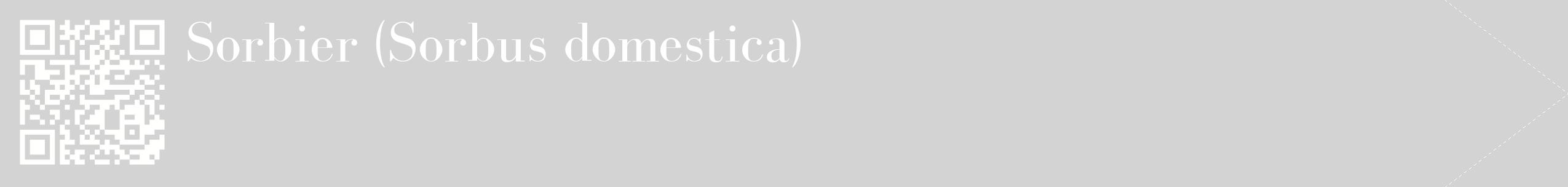 étiquette 2