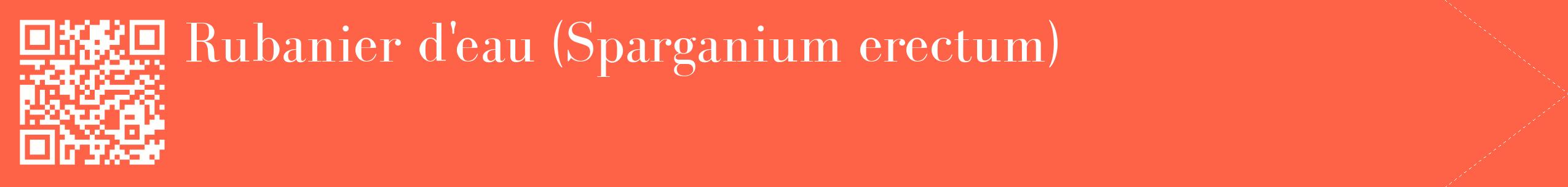 étiquette 2