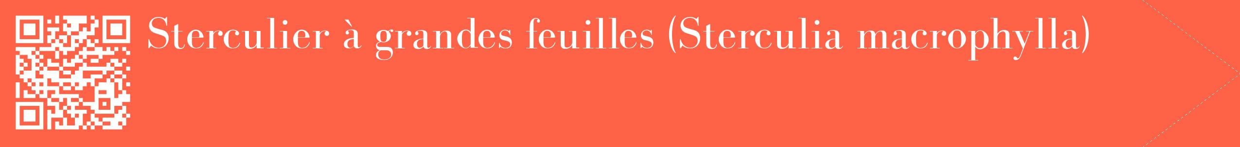 étiquette 2