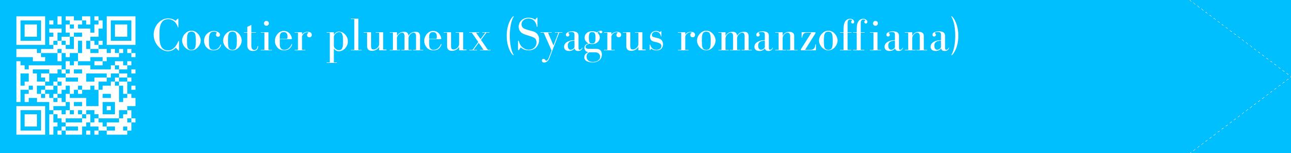 étiquette 2