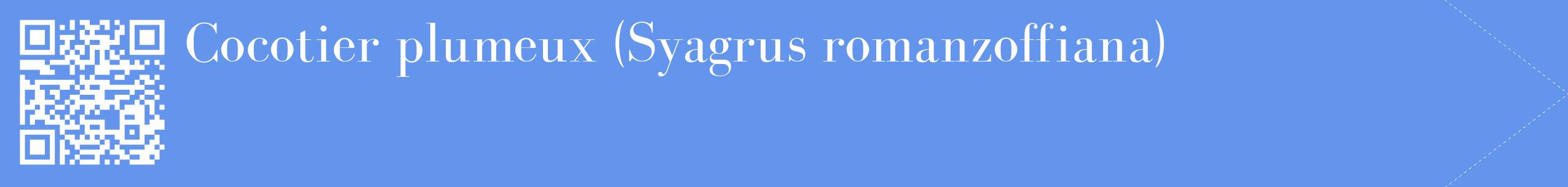 étiquette 2