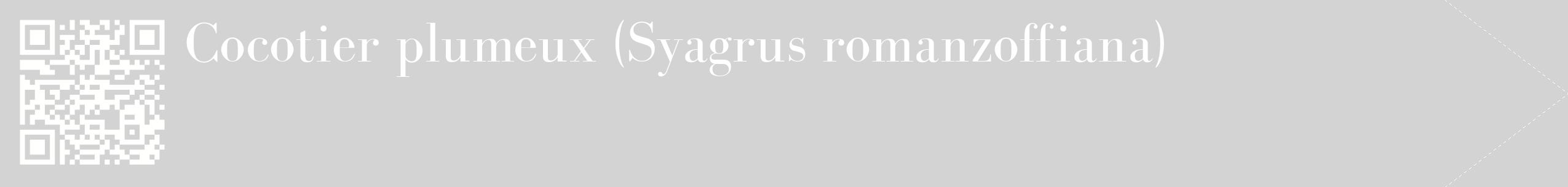 étiquette 2
