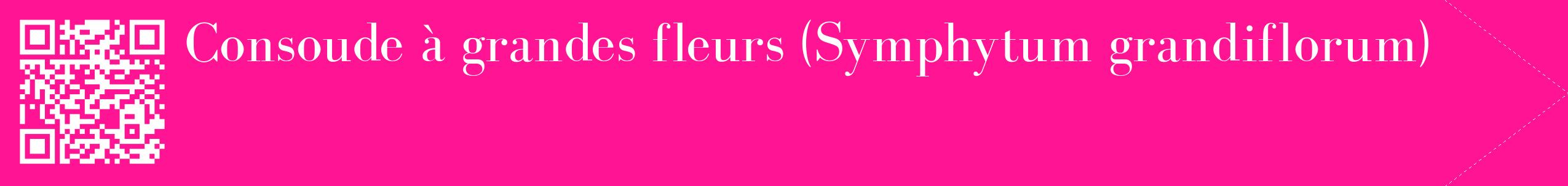 étiquette 2