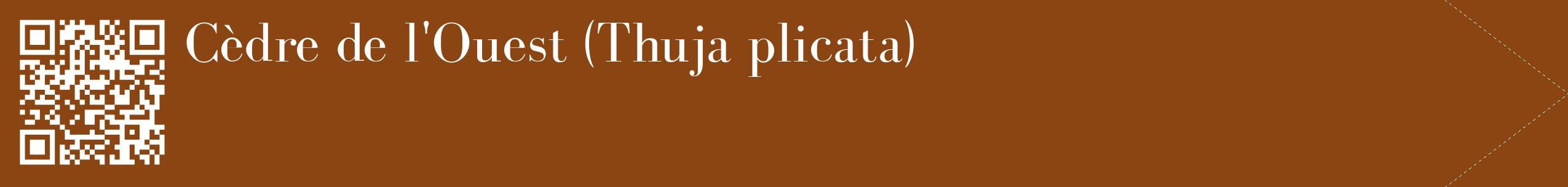 étiquette 2