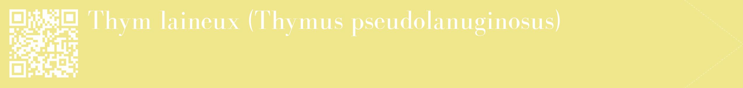 étiquette 2