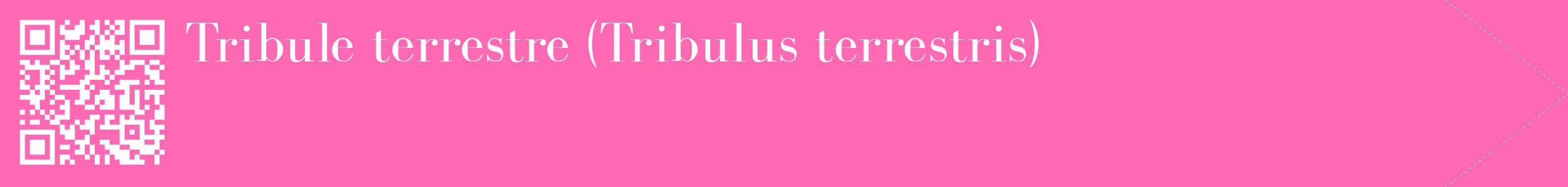 étiquette 2