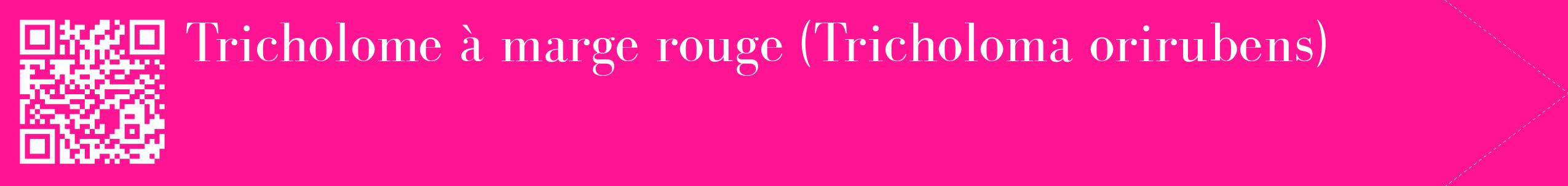 étiquette 2
