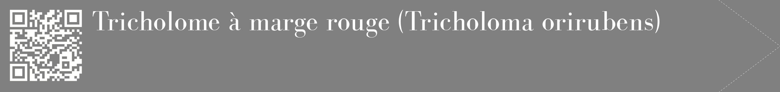 étiquette 2