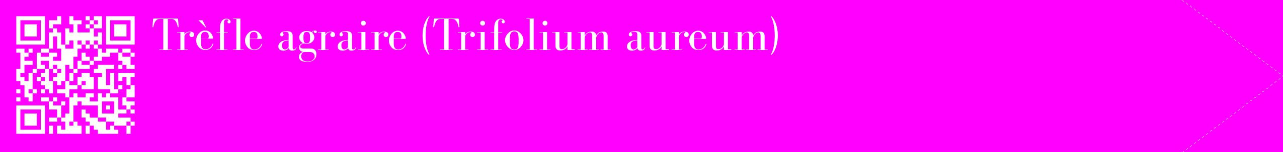 étiquette 2