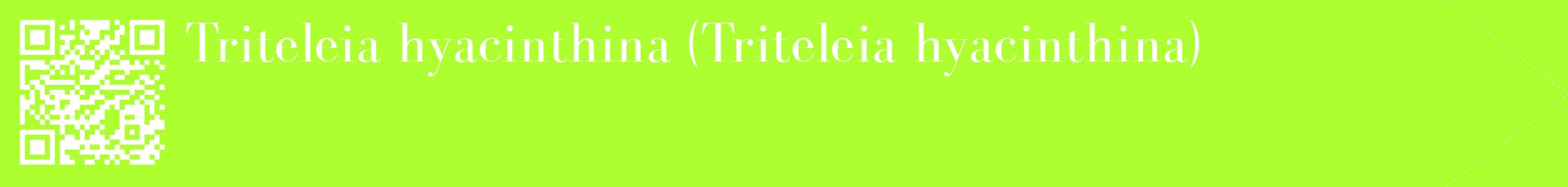 étiquette 2