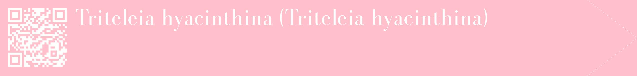 étiquette 2