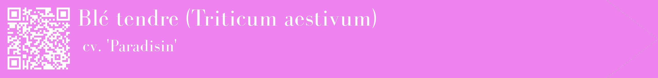 étiquette 2