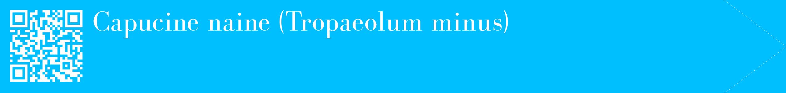 étiquette 2