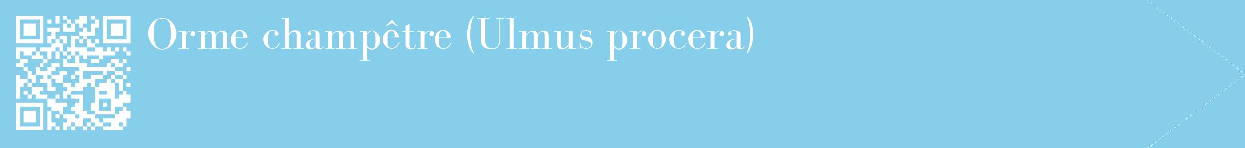 étiquette 2