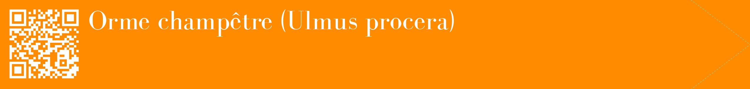 étiquette 2