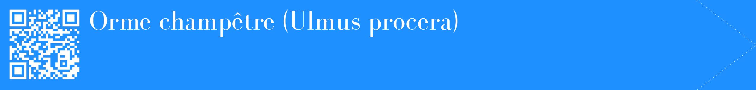 étiquette 2
