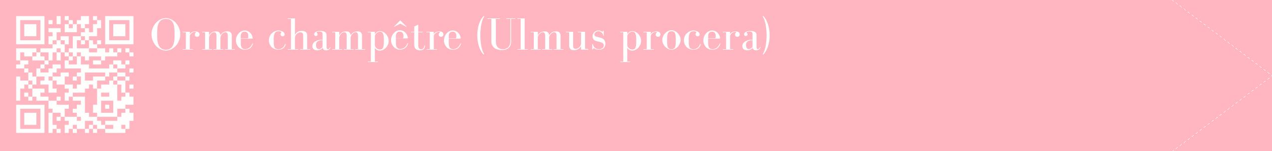étiquette 2