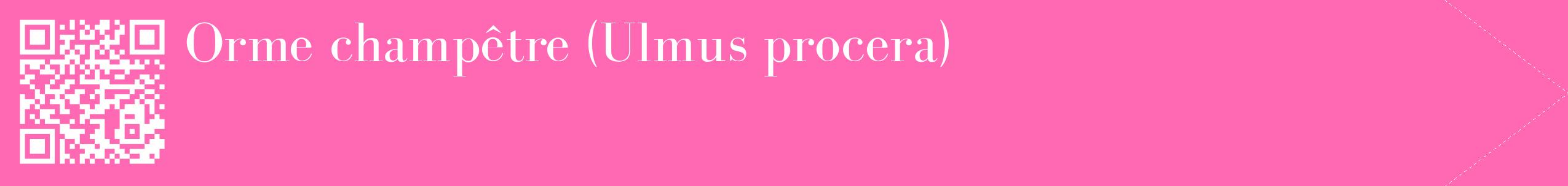 étiquette 2
