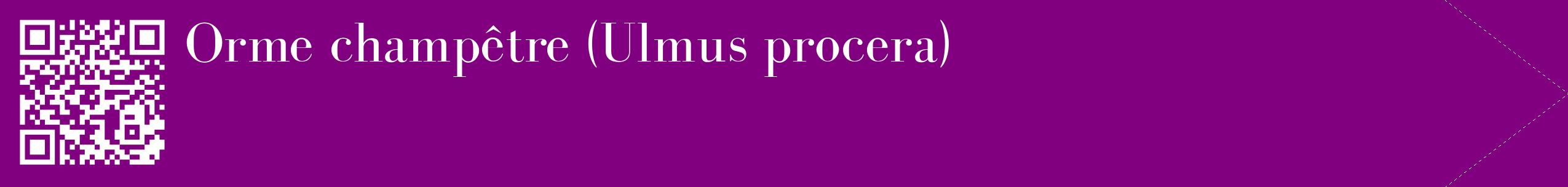 étiquette 2