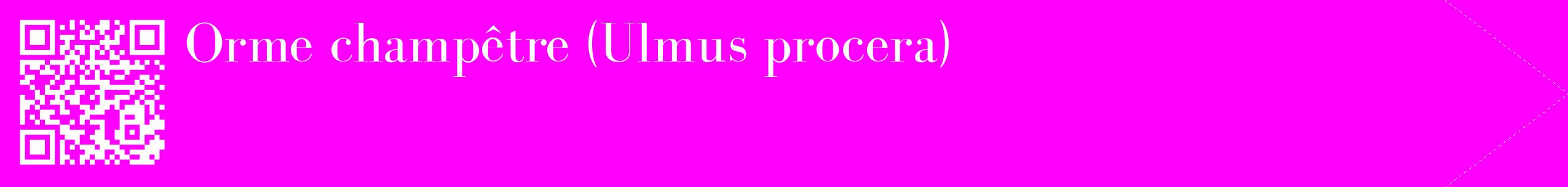 étiquette 2
