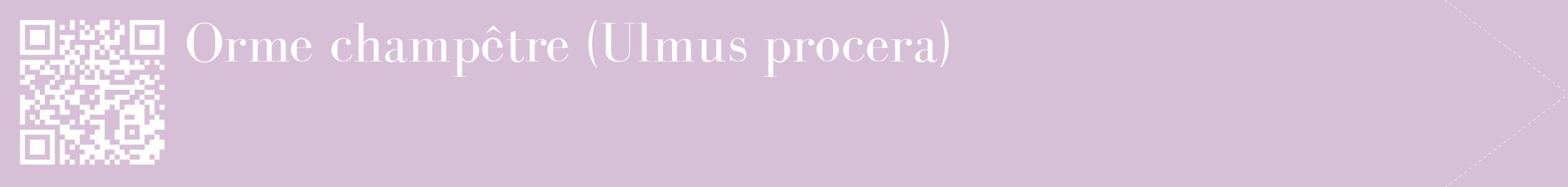 étiquette 2