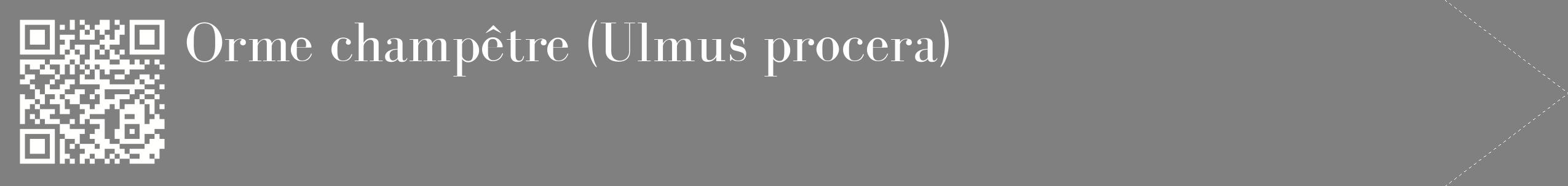 étiquette 2