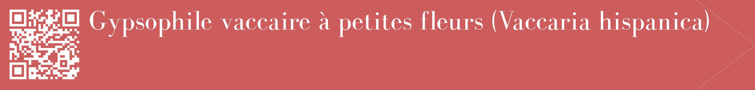 étiquette 2