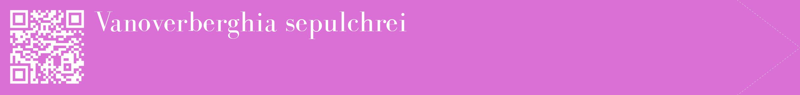 étiquette 2
