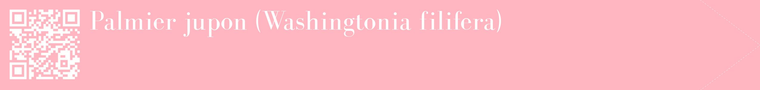 étiquette 2