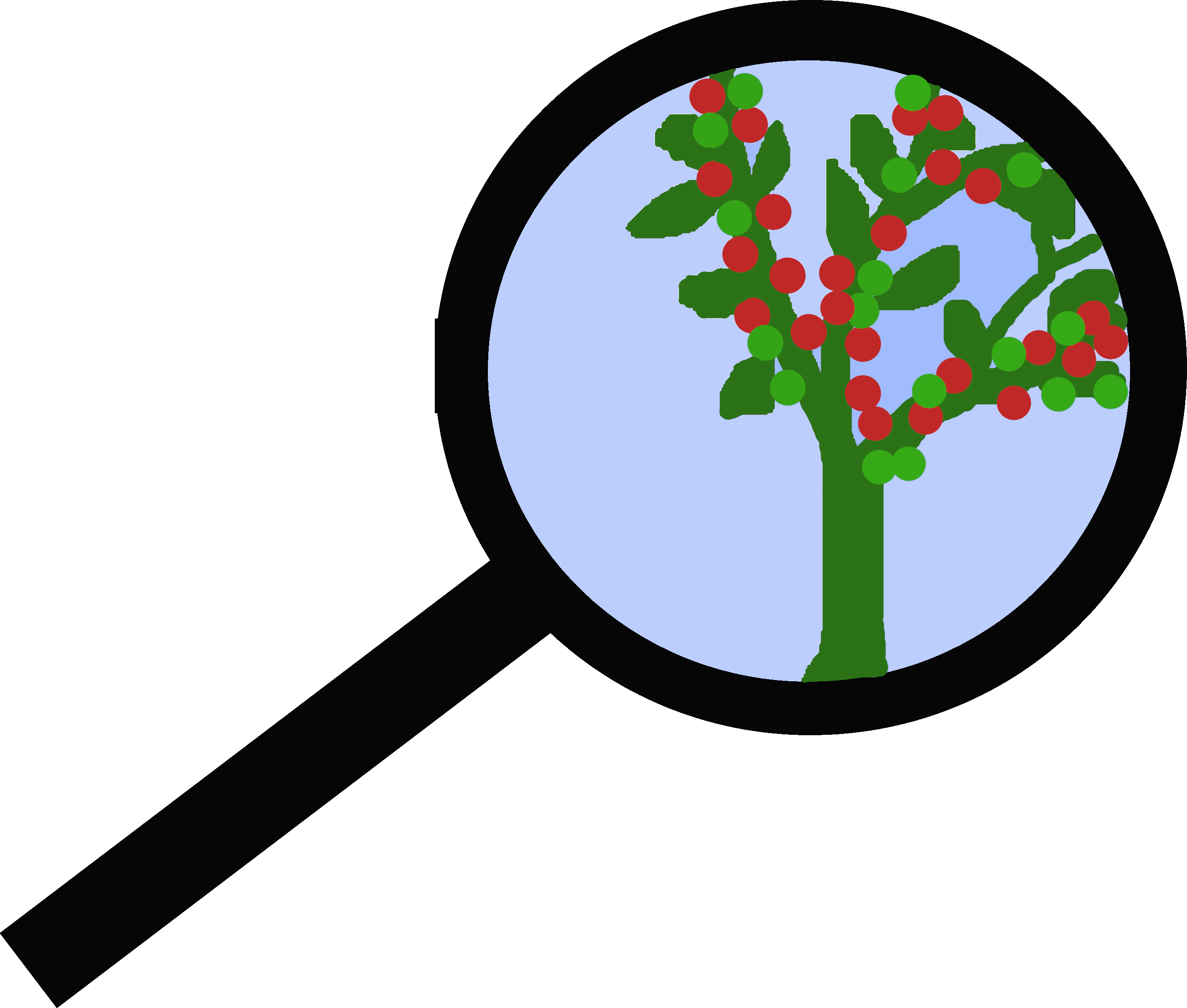 loupe