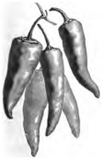 Piment rouge long (réduit au tiers)