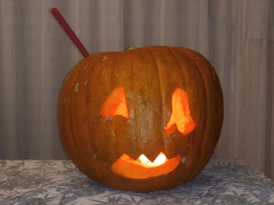 Illustration Cucurbita maxima, Par Patrick Le Ménahèze, via lepotager-demesreves 