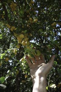 Zoom illustration 8484767469_3e37cb220e_z.jpg