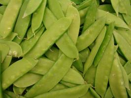 Zoom illustration pois_mangetout.jpg