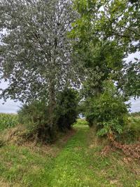 Miniature photo_23_1526