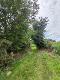 Miniature photo_23_1524