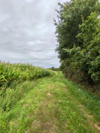 Miniature photo_23_1523