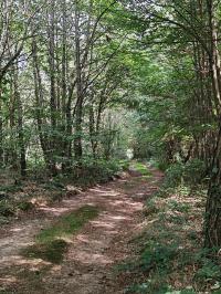 Miniature photo_23_1518