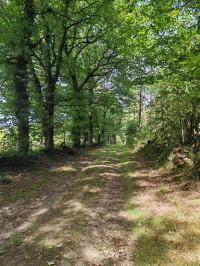 Miniature photo_23_1516