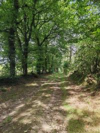 Miniature photo_23_1515