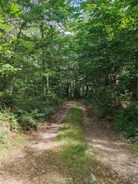 Miniature photo_23_1514