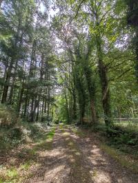 Miniature photo_23_1512