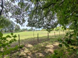 Miniature photo_23_1511
