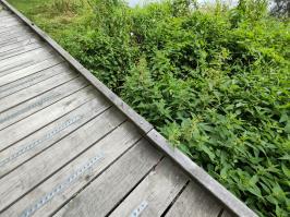 Miniature photo_23_1494