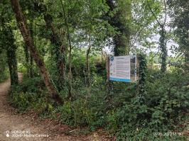 Miniature photo_23_1465