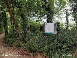 Miniature photo_23_1464
